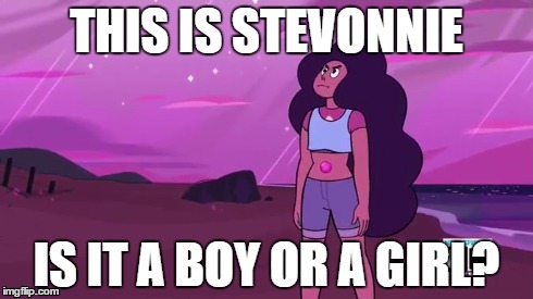 Stevonnie | THIS IS STEVONNIE IS IT A BOY OR A GIRL? | image tagged in stevonnie,boy or girl,you really should stop reading the tags,its wierd | made w/ Imgflip meme maker