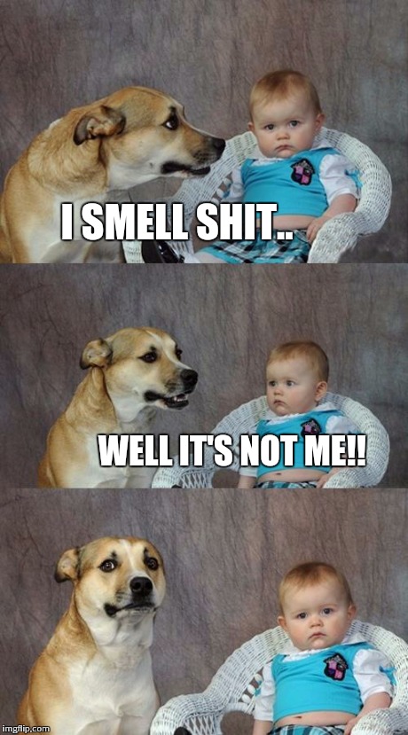 Dad Joke Dog | I SMELL SHIT.. WELL IT'S NOT ME!! | image tagged in memes,dad joke dog | made w/ Imgflip meme maker