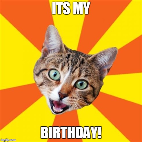 Bad Advice Cat | ITS MY BIRTHDAY! | image tagged in memes,bad advice cat | made w/ Imgflip meme maker