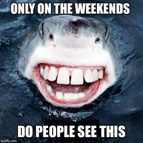 Sharky returns | ONLY ON THE WEEKENDS DO PEOPLE SEE THIS | image tagged in sharky returns | made w/ Imgflip meme maker