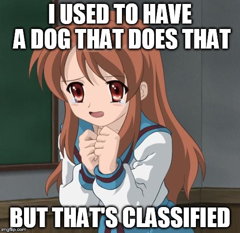 Mikuru Blush | I USED TO HAVE A DOG THAT DOES THAT BUT THAT'S CLASSIFIED | image tagged in mikuru blush | made w/ Imgflip meme maker