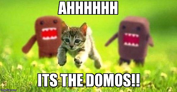 Kittens Running from Domo | AHHHHHH ITS THE DOMOS!! | image tagged in kittens running from domo | made w/ Imgflip meme maker