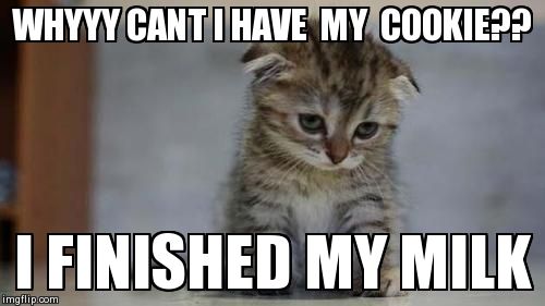 Sad kitten | WHYYY CANT I HAVE  MY  COOKIE?? I FINISHED MY MILK | image tagged in sad kitten | made w/ Imgflip meme maker