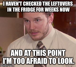 Afraid To Ask Andy (Closeup) | I HAVEN'T CHECKED THE LEFTOVERS IN THE FRIDGE FOR WEEKS NOW AND AT THIS POINT I'M TOO AFRAID TO LOOK. | image tagged in and i'm too afraid to ask andy | made w/ Imgflip meme maker