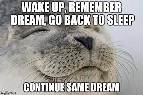 Satisfied Seal | WAKE UP, REMEMBER DREAM, GO BACK TO SLEEP CONTINUE SAME DREAM | image tagged in memes,satisfied seal,AdviceAnimals | made w/ Imgflip meme maker
