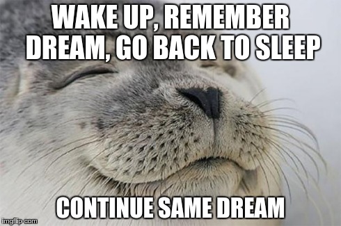 Satisfied Seal Meme | WAKE UP, REMEMBER DREAM, GO BACK TO SLEEP CONTINUE SAME DREAM | image tagged in memes,satisfied seal,AdviceAnimals | made w/ Imgflip meme maker