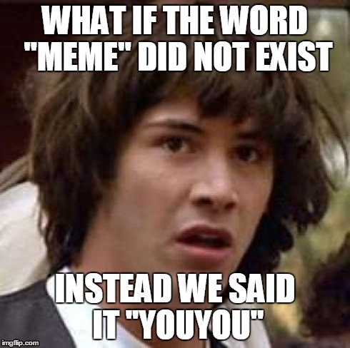 Conspiracy Keanu Meme | WHAT IF THE WORD "MEME" DID NOT EXIST INSTEAD WE SAID IT "YOUYOU" | image tagged in memes,conspiracy keanu | made w/ Imgflip meme maker