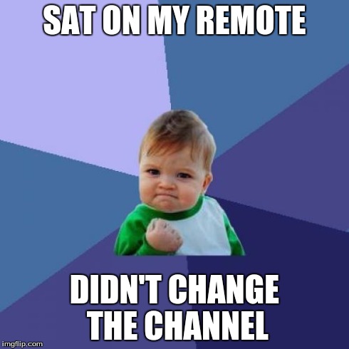Success Kid | SAT ON MY REMOTE DIDN'T CHANGE THE CHANNEL | image tagged in memes,success kid | made w/ Imgflip meme maker