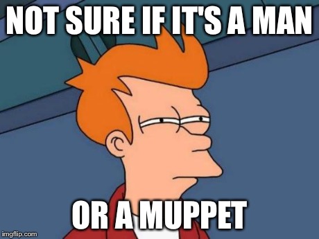 Futurama Fry Meme | NOT SURE IF IT'S A MAN OR A MUPPET | image tagged in memes,futurama fry | made w/ Imgflip meme maker