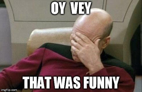 Captain Picard Facepalm Meme | OY  VEY THAT WAS FUNNY | image tagged in memes,captain picard facepalm | made w/ Imgflip meme maker