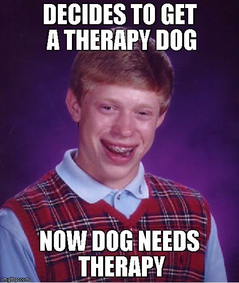 Bad Luck Brian Meme | DECIDES TO GET A THERAPY DOG NOW DOG NEEDS THERAPY | image tagged in memes,bad luck brian | made w/ Imgflip meme maker