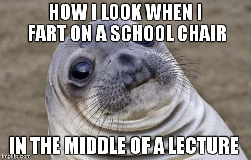 Awkward Moment Sealion | HOW I LOOK WHEN I FART ON A SCHOOL CHAIR IN THE MIDDLE OF A LECTURE | image tagged in memes,awkward moment sealion | made w/ Imgflip meme maker