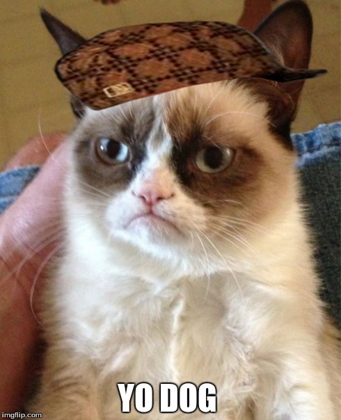 Grumpy Cat Meme | YO DOG | image tagged in memes,grumpy cat,scumbag | made w/ Imgflip meme maker