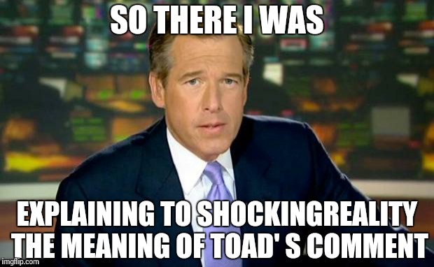 Brian Williams Was There Meme | SO THERE I WAS EXPLAINING TO SHOCKINGREALITY THE MEANING OF TOAD' S COMMENT | image tagged in memes,brian williams was there | made w/ Imgflip meme maker
