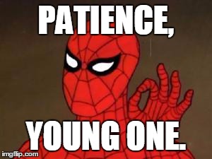 User Template Spiderman | PATIENCE, YOUNG ONE. | image tagged in user template spiderman | made w/ Imgflip meme maker