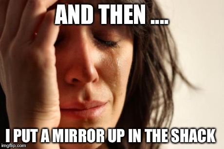 First World Problems Meme | AND THEN .... I PUT A MIRROR UP IN THE SHACK | image tagged in memes,first world problems | made w/ Imgflip meme maker