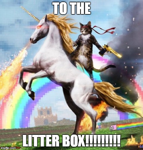 Welcome To The Internets Meme | TO THE LITTER BOX!!!!!!!!! | image tagged in memes,welcome to the internets | made w/ Imgflip meme maker