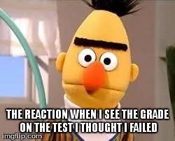 Creepy Sesame Street | THE REACTION WHEN I SEE THE GRADE ON THE TEST I THOUGHT I FAILED | image tagged in creepy sesame street | made w/ Imgflip meme maker