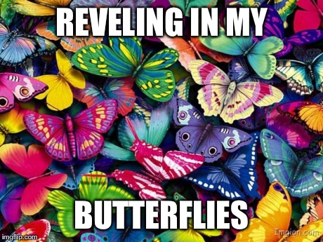 Butterflies | REVELING IN MY BUTTERFLIES | image tagged in butterflies | made w/ Imgflip meme maker
