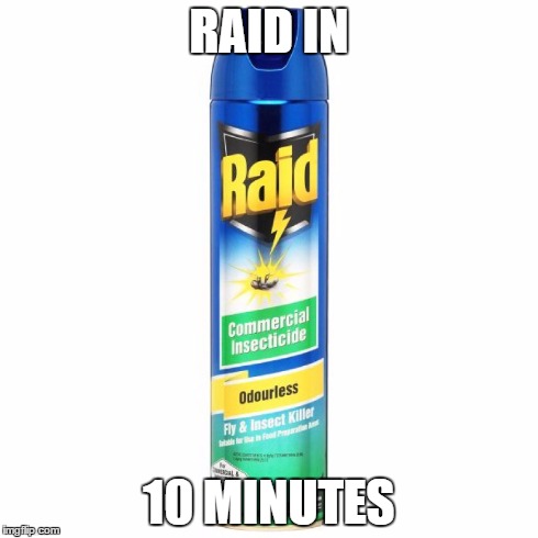 RAID IN 10 MINUTES | made w/ Imgflip meme maker