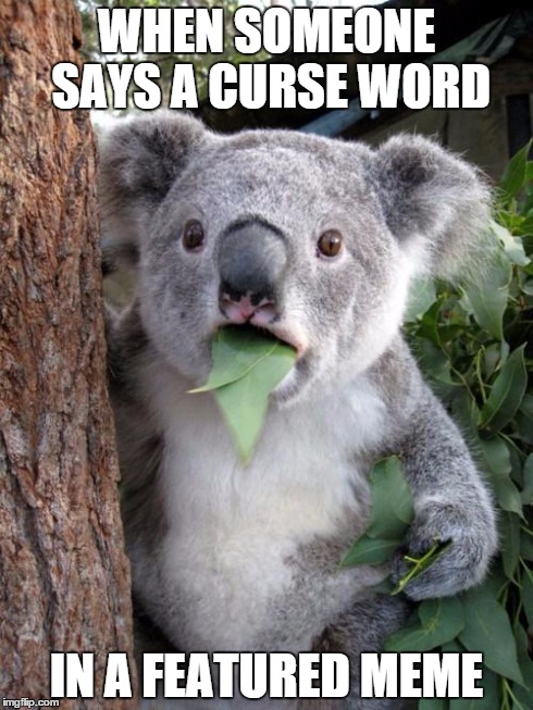 Surprised Koala | WHEN SOMEONE SAYS A CURSE WORD IN A FEATURED MEME | image tagged in memes,surprised koala | made w/ Imgflip meme maker