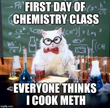 Chemistry Cat | FIRST DAY OF CHEMISTRY CLASS EVERYONE THINKS I COOK METH | image tagged in memes,chemistry cat | made w/ Imgflip meme maker