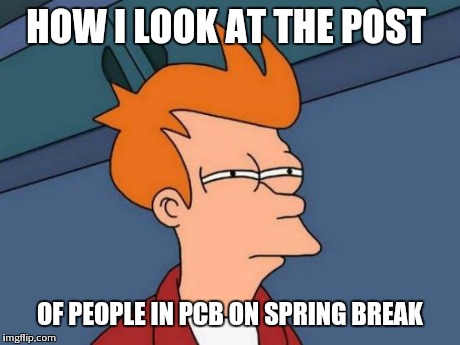 Futurama Fry Meme | HOW I LOOK AT THE POST OF PEOPLE IN PCB ON SPRING BREAK | image tagged in memes,futurama fry | made w/ Imgflip meme maker