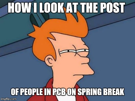 Futurama Fry | HOW I LOOK AT THE POST OF PEOPLE IN PCB ON SPRING BREAK | image tagged in memes,futurama fry | made w/ Imgflip meme maker
