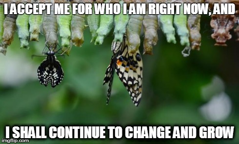butterfly | I ACCEPT ME FOR WHO I AM RIGHT NOW, AND I SHALL CONTINUE TO CHANGE AND GROW | image tagged in butterfly | made w/ Imgflip meme maker