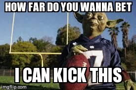 YodaFootball | HOW FAR DO YOU WANNA BET I CAN KICK THIS | image tagged in yodafootball | made w/ Imgflip meme maker