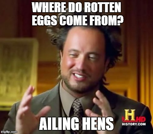 Ancient Aliens Meme | WHERE DO ROTTEN EGGS COME FROM? AILING HENS | image tagged in memes,ancient aliens | made w/ Imgflip meme maker