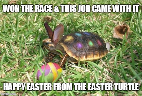 Easter Turtle | WON THE RACE & THIS JOB CAME WITH IT HAPPY EASTER FROM THE EASTER TURTLE | image tagged in happy easter | made w/ Imgflip meme maker