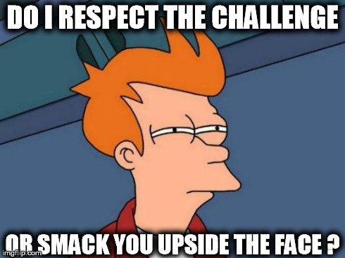 Futurama Fry Meme | DO I RESPECT THE CHALLENGE OR SMACK YOU UPSIDE THE FACE ? | image tagged in memes,futurama fry | made w/ Imgflip meme maker