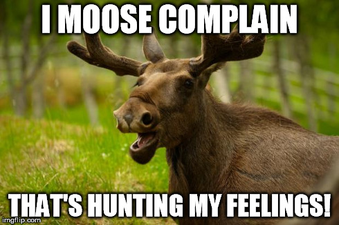 Bad Pun Moose | I MOOSE COMPLAIN THAT'S HUNTING MY FEELINGS! | image tagged in bad pun moose | made w/ Imgflip meme maker