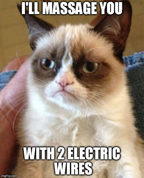 Grumpy Cat Meme | I'LL MASSAGE YOU WITH 2 ELECTRIC WIRES | image tagged in memes,grumpy cat | made w/ Imgflip meme maker
