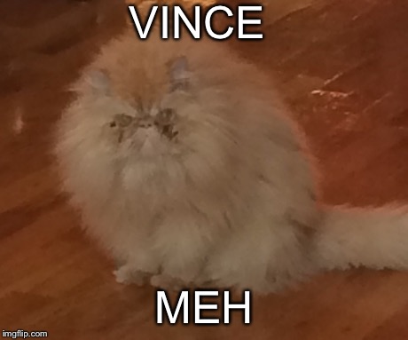 VINCE MEH | image tagged in memes | made w/ Imgflip meme maker