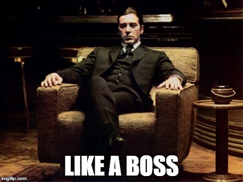 Like a Boss | LIKE A BOSS | image tagged in boss,godfather | made w/ Imgflip meme maker