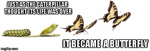 Life changes | JUST AS THE CATERPILLAR THOUGHT ITS LIFE WAS OVER IT BECAME  A BUTTERFLY | image tagged in metamorphosis,memes | made w/ Imgflip meme maker