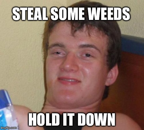 Tittle 5 | STEAL SOME WEEDS HOLD IT DOWN | image tagged in memes,10 guy | made w/ Imgflip meme maker