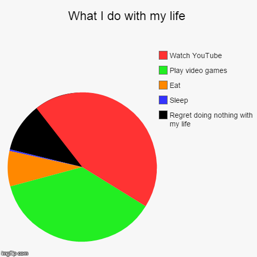 My life | image tagged in funny,pie charts | made w/ Imgflip chart maker