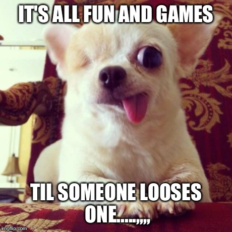 Seeing EYE Dog | IT'S ALL FUN AND GAMES TIL SOMEONE LOOSES ONE.....,,,, | image tagged in seeing eye dog | made w/ Imgflip meme maker