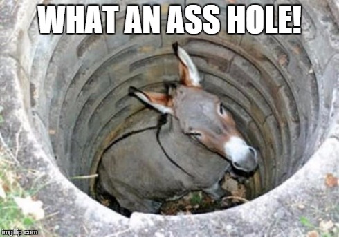 ass hole | WHAT AN ASS HOLE! | image tagged in ass hole | made w/ Imgflip meme maker