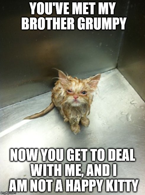 Kill You Cat | YOU'VE MET MY BROTHER GRUMPY NOW YOU GET TO DEAL WITH ME, AND I AM NOT A HAPPY KITTY | image tagged in memes,kill you cat | made w/ Imgflip meme maker