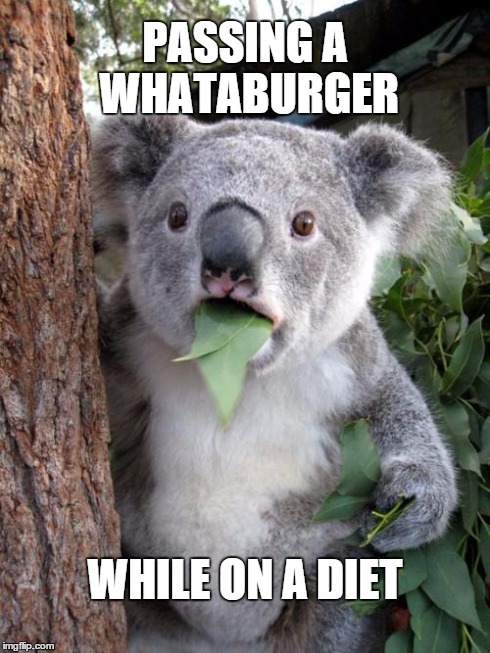 Surprised Koala | PASSING A WHATABURGER WHILE ON A DIET | image tagged in memes,surprised koala | made w/ Imgflip meme maker
