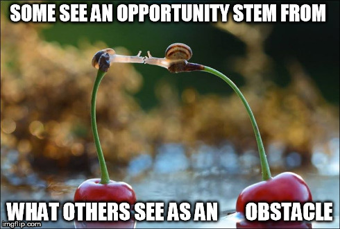 cherish the challenge | SOME SEE AN OPPORTUNITY STEM FROM WHAT OTHERS SEE AS AN       OBSTACLE | image tagged in snails of determination,life is a bowl of cherries | made w/ Imgflip meme maker