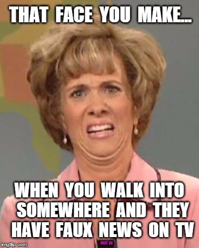 That Faux News Face | THAT  FACE  YOU  MAKE... WHEN  YOU  WALK  INTO  SOMEWHERE  AND  THEY  HAVE  FAUX  NEWS  ON  TV FAST  ED | image tagged in disgusted kristin wiig,faux news,fox news | made w/ Imgflip meme maker