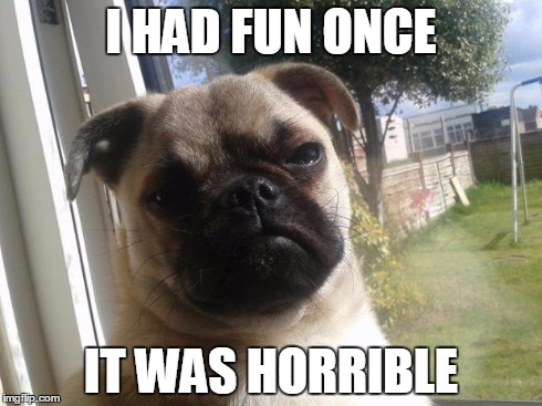 Grumpy Dog | I HAD FUN ONCE IT WAS HORRIBLE | image tagged in grumpy dog | made w/ Imgflip meme maker