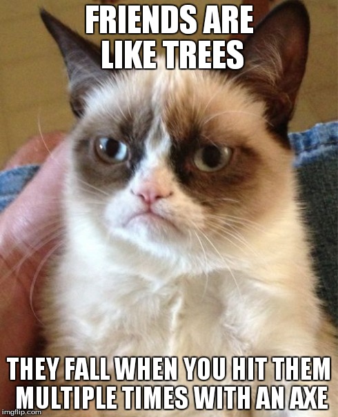 Grumpy Cat | FRIENDS ARE LIKE TREES THEY FALL WHEN YOU HIT THEM MULTIPLE TIMES WITH AN AXE | image tagged in memes,grumpy cat | made w/ Imgflip meme maker