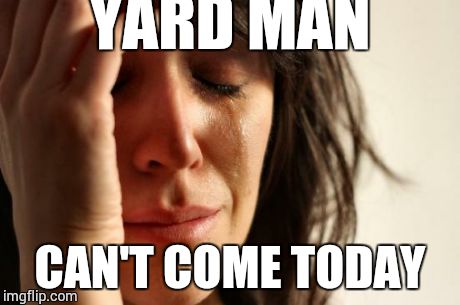 First World Problems | YARD MAN CAN'T COME TODAY | image tagged in memes,first world problems | made w/ Imgflip meme maker