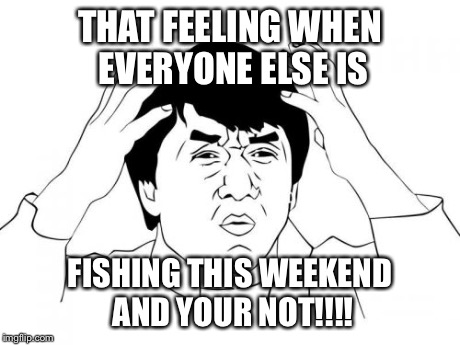 Jackie Chan WTF | THAT FEELING WHEN EVERYONE ELSE IS FISHING THIS WEEKEND AND YOUR NOT!!!! | image tagged in memes,jackie chan wtf | made w/ Imgflip meme maker